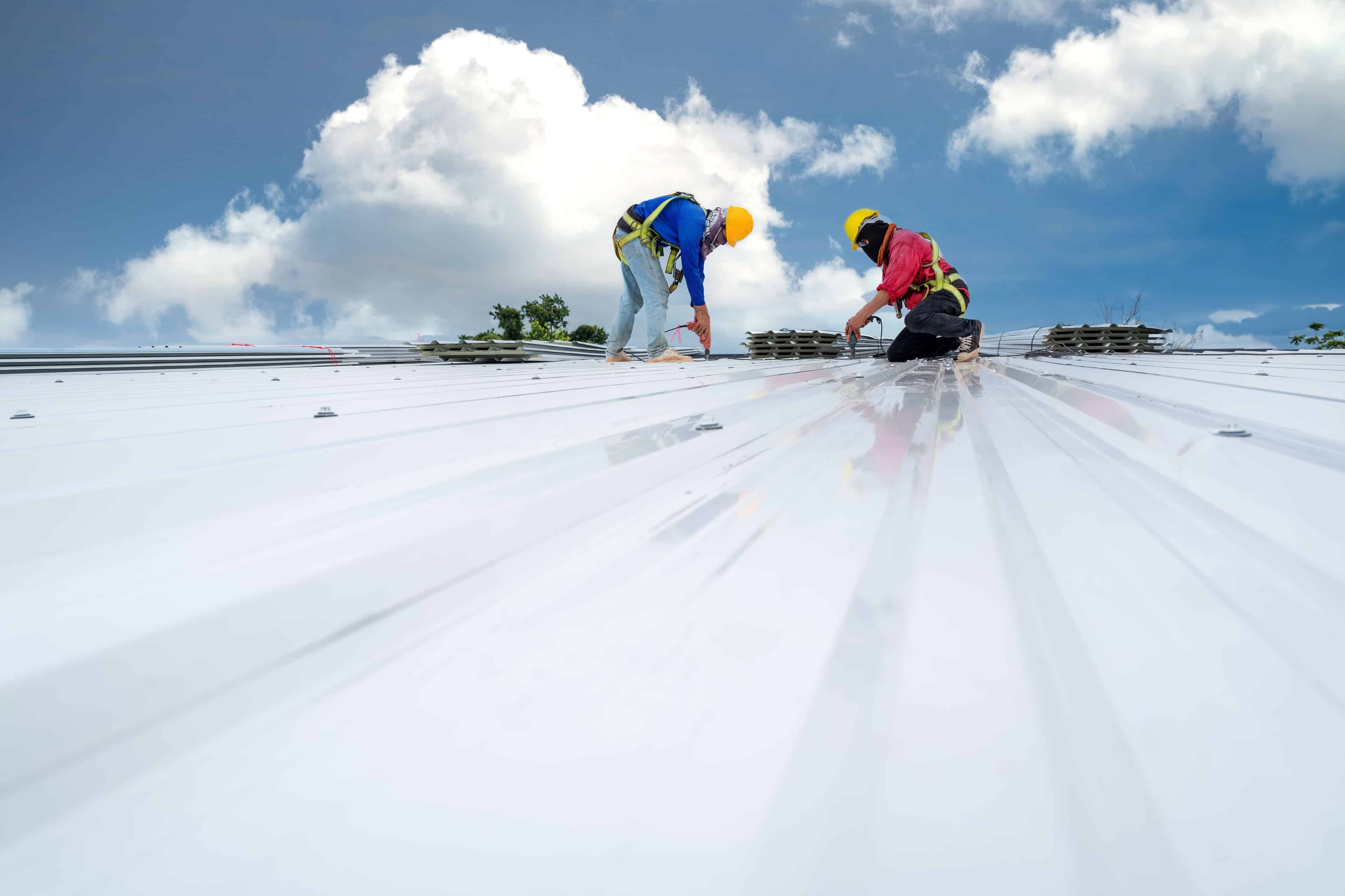 Roof Coating image