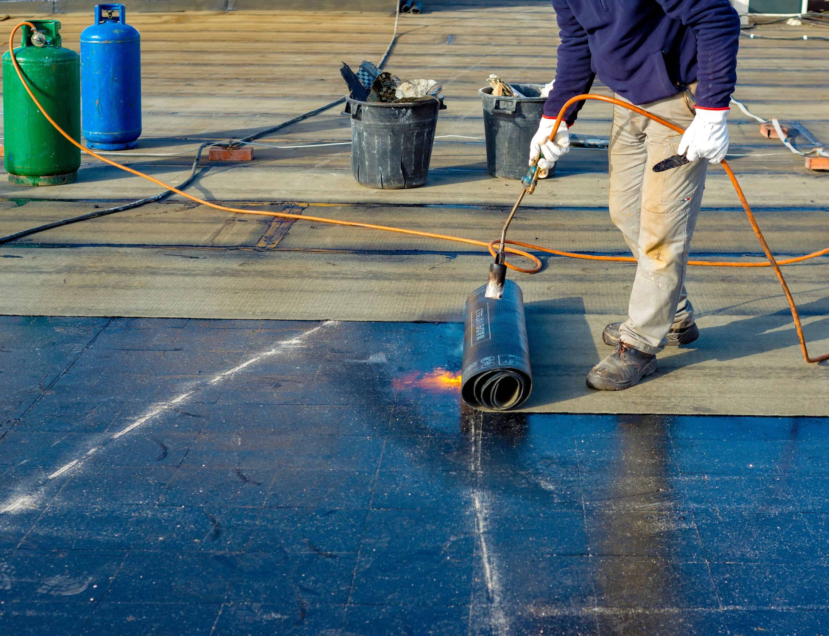 Roof Coatings image