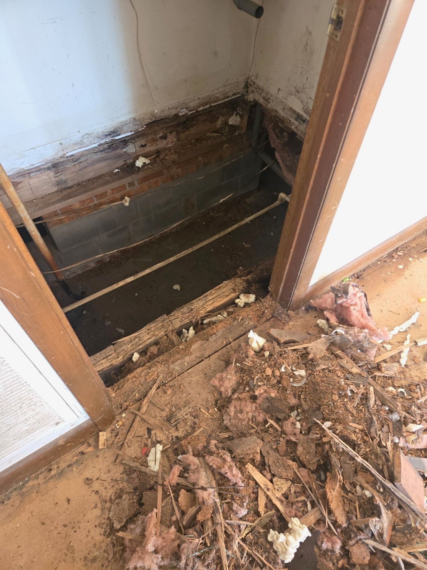 Repairing Water-Damaged Floors