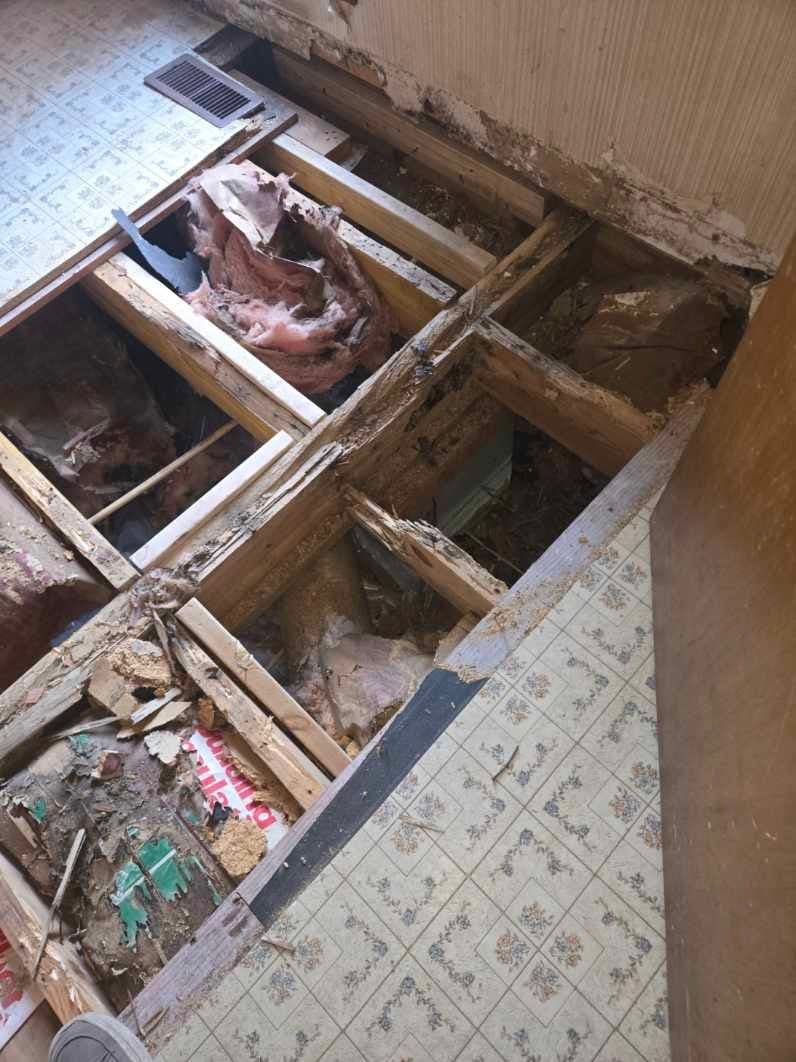 Project Repairing Water-Damaged Floors image